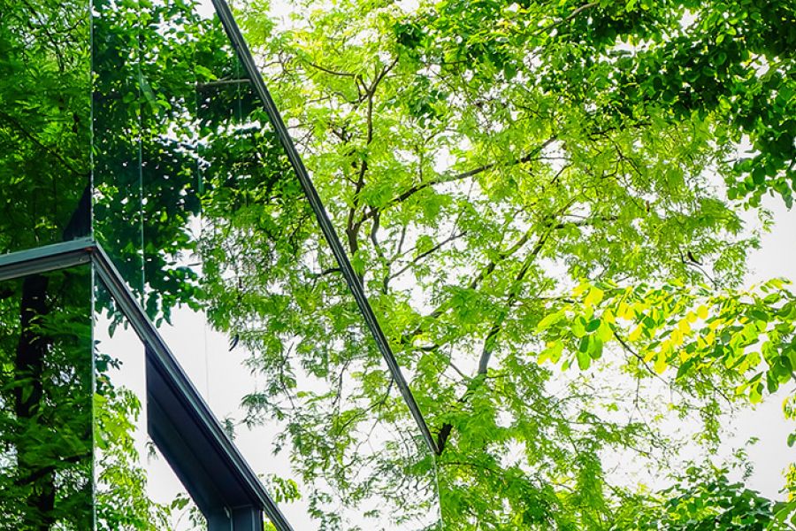 Gebouw dat de bladeren aan de bomen weerspiegelt