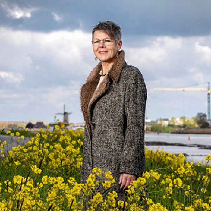 Circulaire viaducten, circulaire bruggen, Open Leeromgeving, oranje kranen, bouw, constructie, transitie